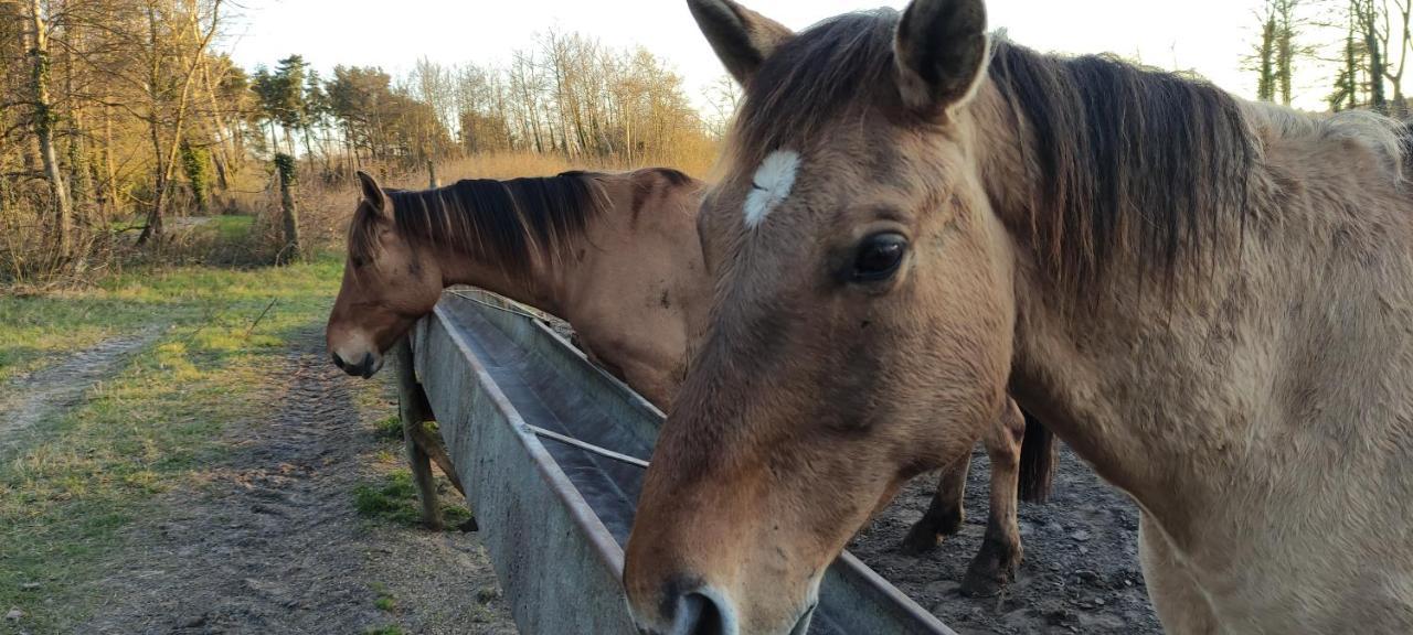 Les Sableaux, Les Portes Du Marquenterre Saint-Quentin-en-Tourmont Esterno foto